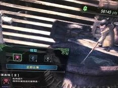 怪物猎人世界珠子怎么刷,掌握技巧，轻松获取珍稀装饰珠